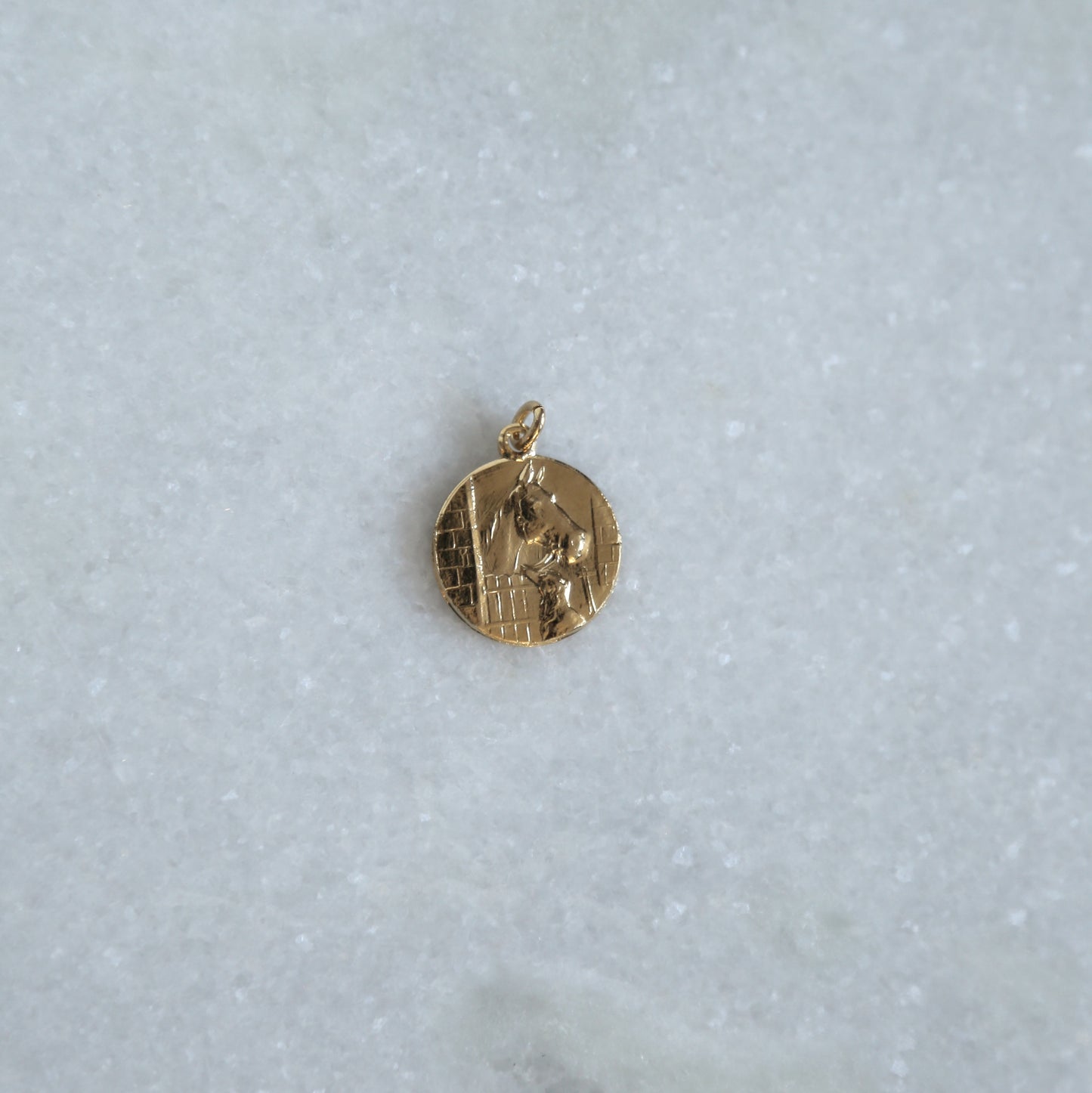 Man's Best Friend Pendant